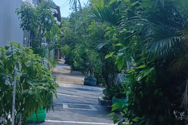 Casa venda Vânia Maria – 3 dormitórios, piscina e área de lazer – Bauru.