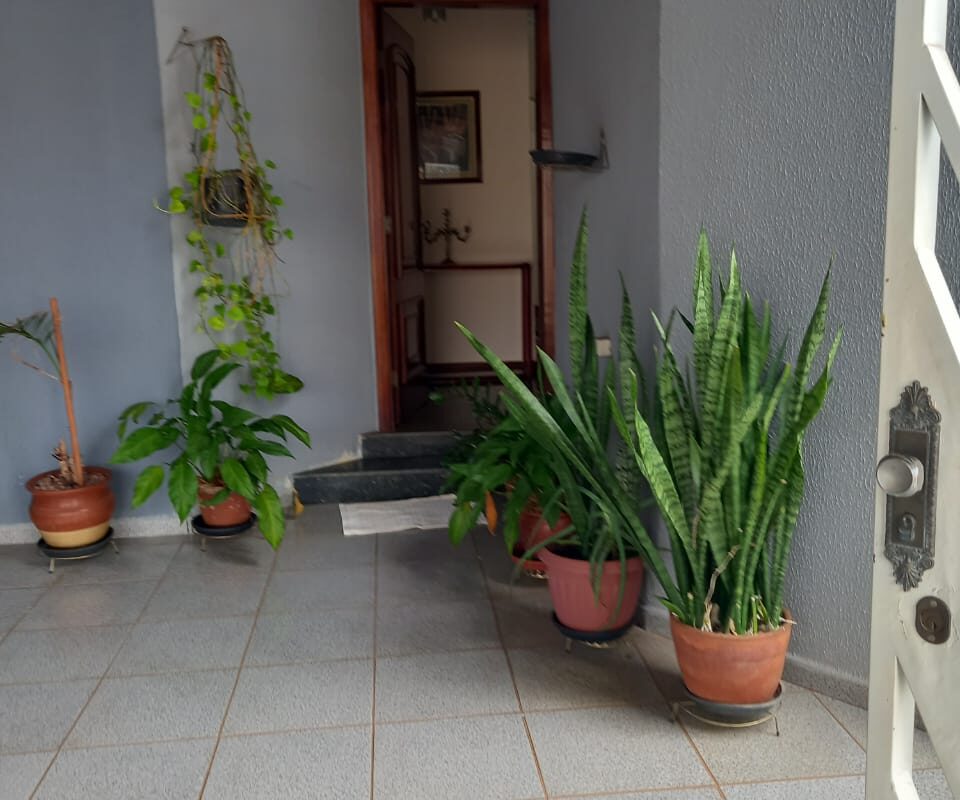 CASA JARDIM CAROLINA.